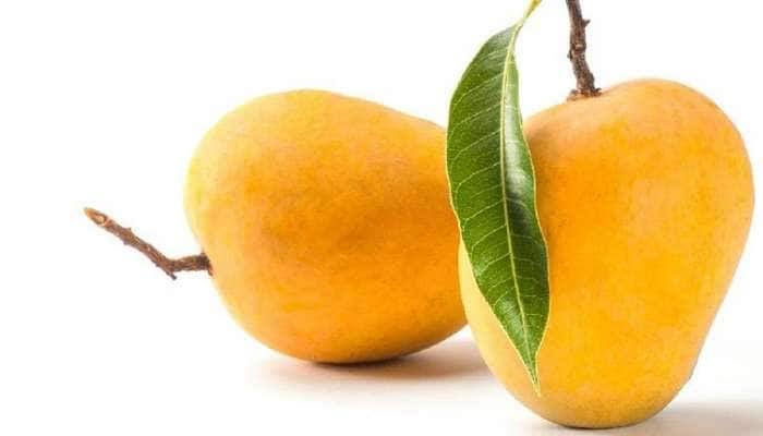 હાફૂસ કેરી