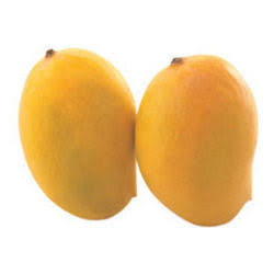 કેસર કેરી